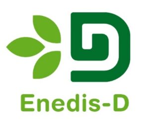 Enedis D